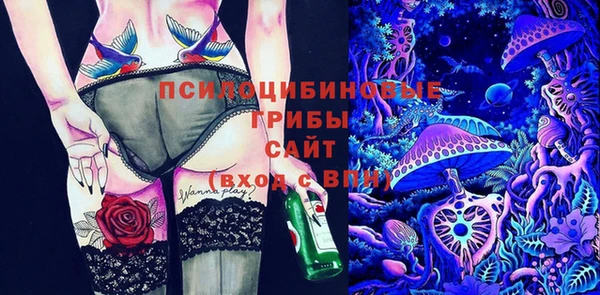 бошки Саяногорск