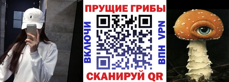 Галлюциногенные грибы MAGIC MUSHROOMS  Бокситогорск 